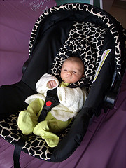 baby carrier