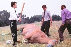 beating a dead horse