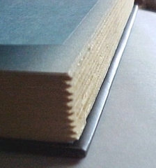 Deckle Edged Book