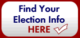 Election Information icon