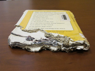 Chewed book