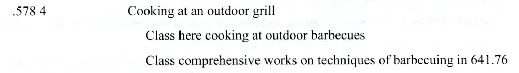 Dewey 641.578 4 - Cooking at an outdoor grill
